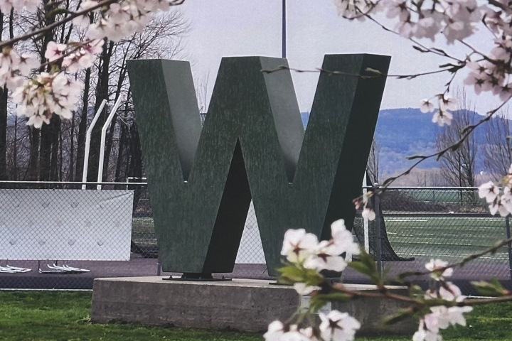 Image: Test image