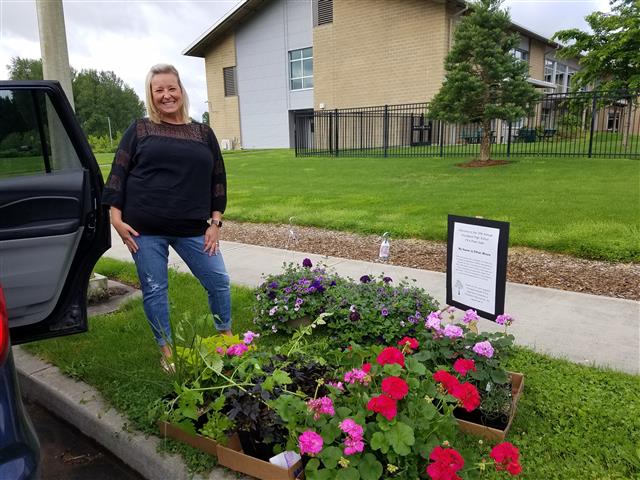 Due to the pandemic, Woodland High School's Horticulture Classes had to organize an online sale with no-contact pickup (Pictured: Shari Conditt, WHS government teacher, picks up her order)