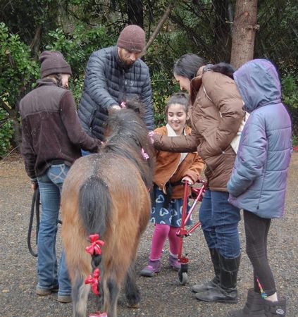 Elizabeth Vallaire and daughter Harper pet a horse at Healing Steps where Harper receives occupational therapy
