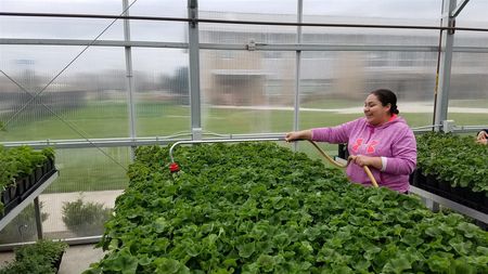 WHS students learn every step of horticulture