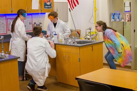 Woodland High School's Stephanie Marshall won the prestigious Crosby Award for Chemistry teachers